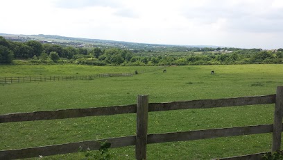 Darenth Country Park