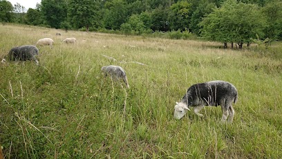 Hutchinson's Bank