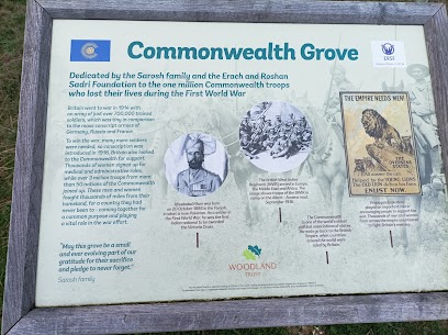 Langley Vale Centenary Wood