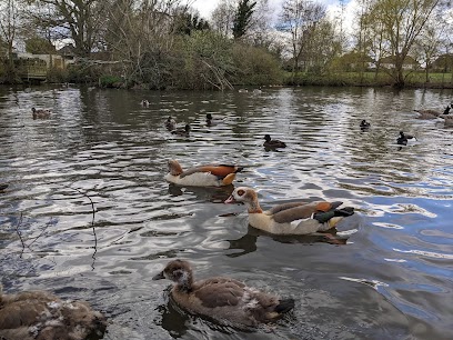 Millers Pond